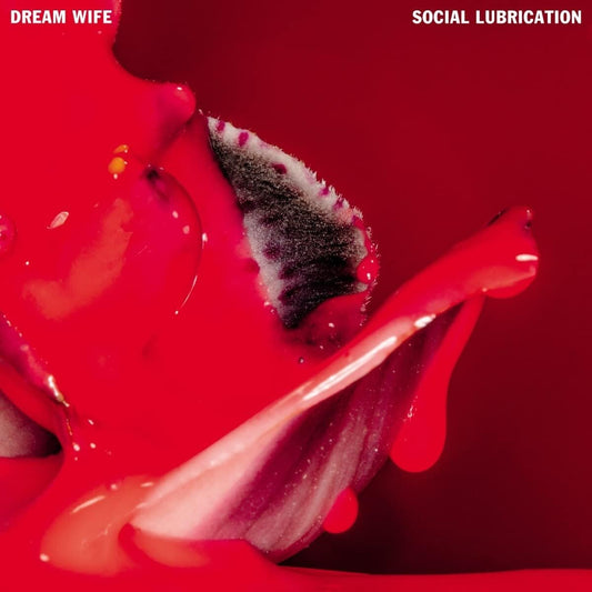 Dream Wife – Social Lubrication