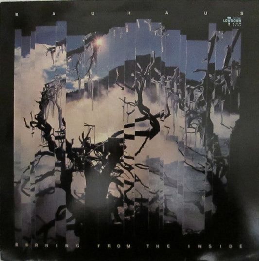 Bauhaus – Burning From The Inside