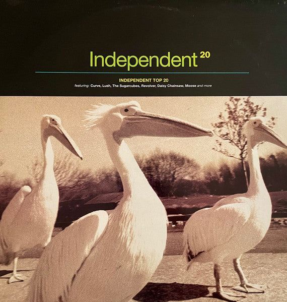 Various – Independent 20 Volume 14 – 2LP