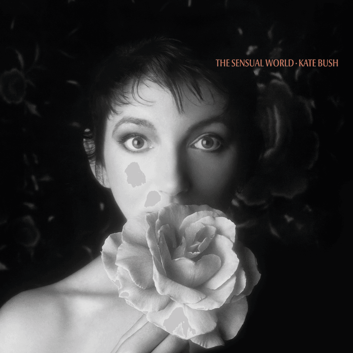 Kate Bush – The Sensual World (2018 Remaster) LP