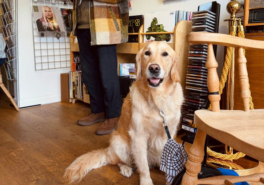 Something to Sing About