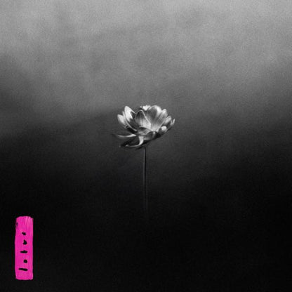 Little Simz – Lotus LP
