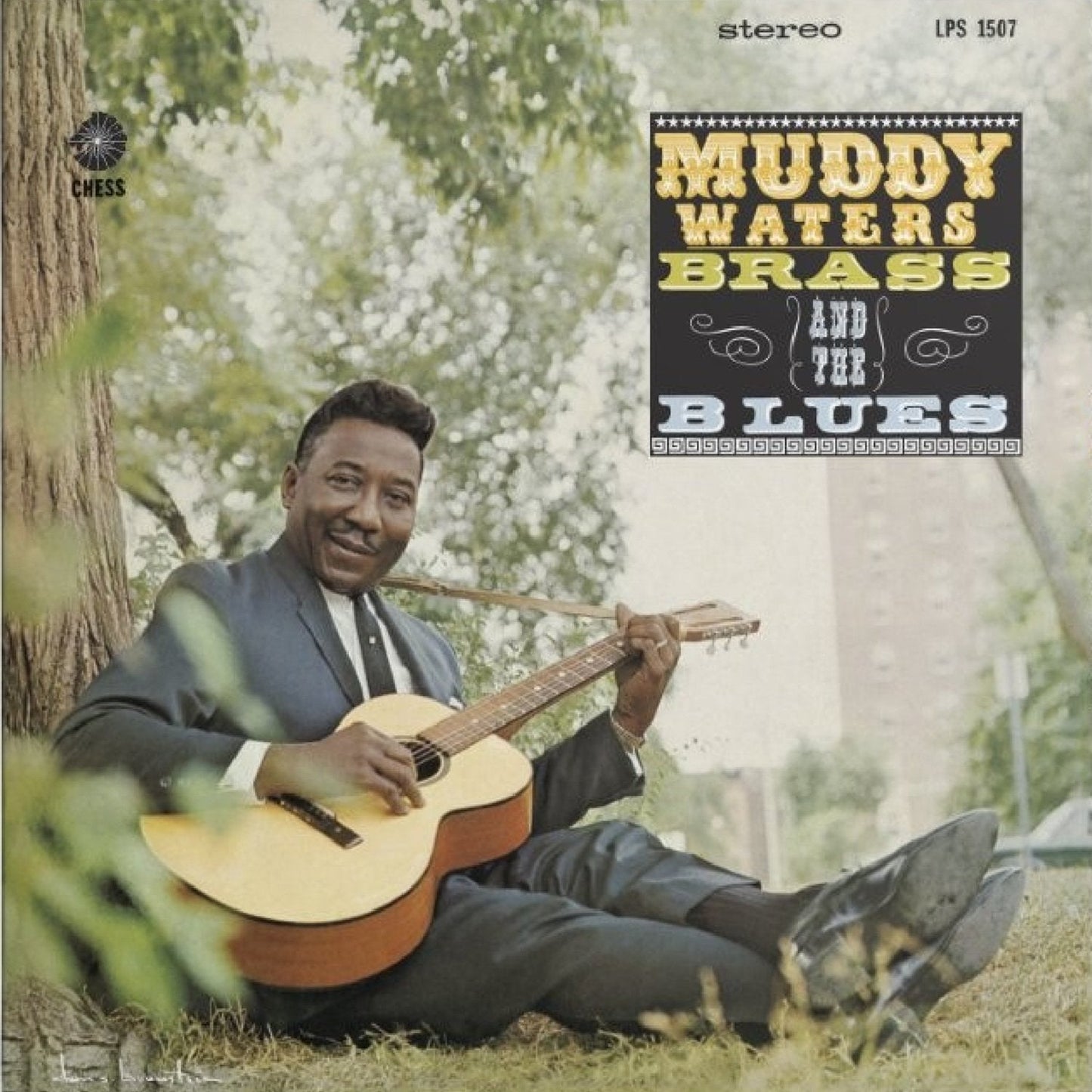 Muddy Waters – Muddy, Brass And The Blues (Acoustic Sounds Series) – LP 