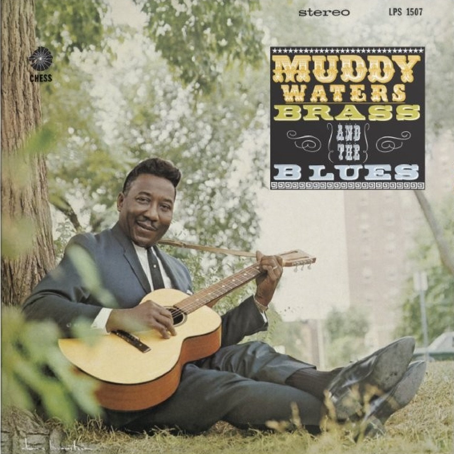 Muddy Waters – Muddy, Brass And The Blues (Acoustic Sounds Series) – LP 