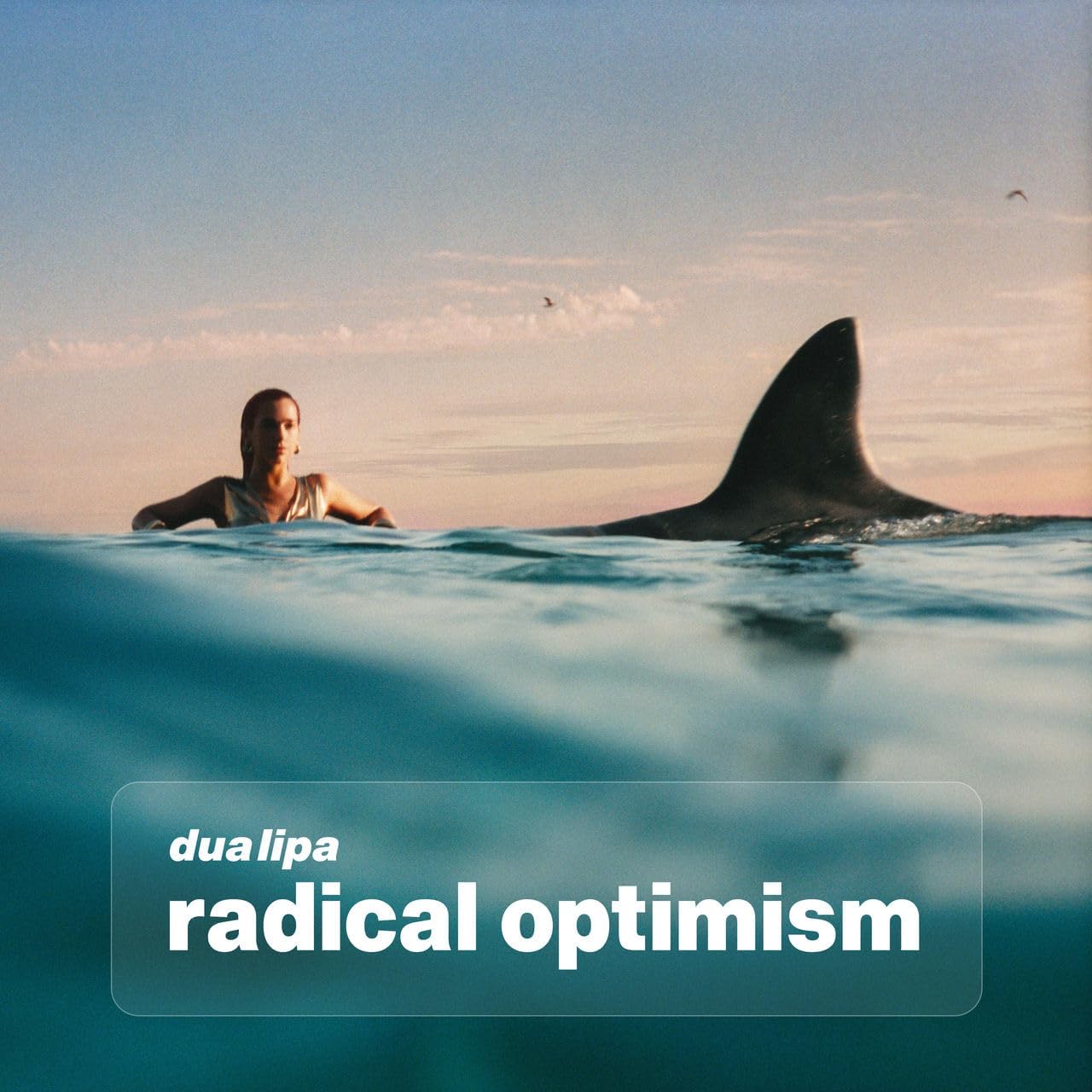 Dua Lipa – Radical Optimism Deluxe Edition (blue & white vinyl)