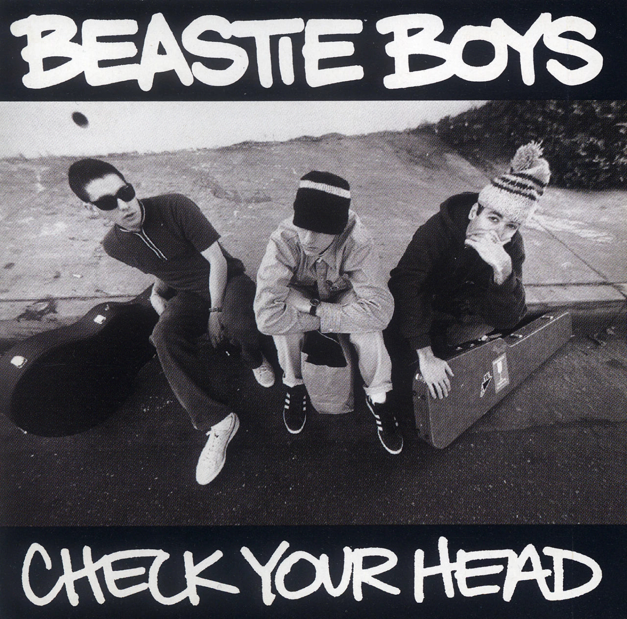 Beastie Boys – Check Your Head – 2LP
