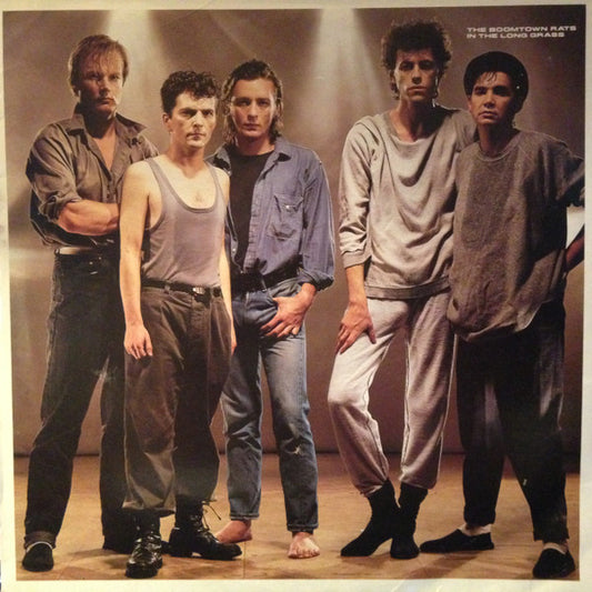 The Boomtown Rats – In The Long Grass – LP