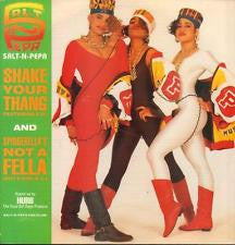 Salt 'N' Pepa – Shake Your Thang (Danny D. Remix) 12"