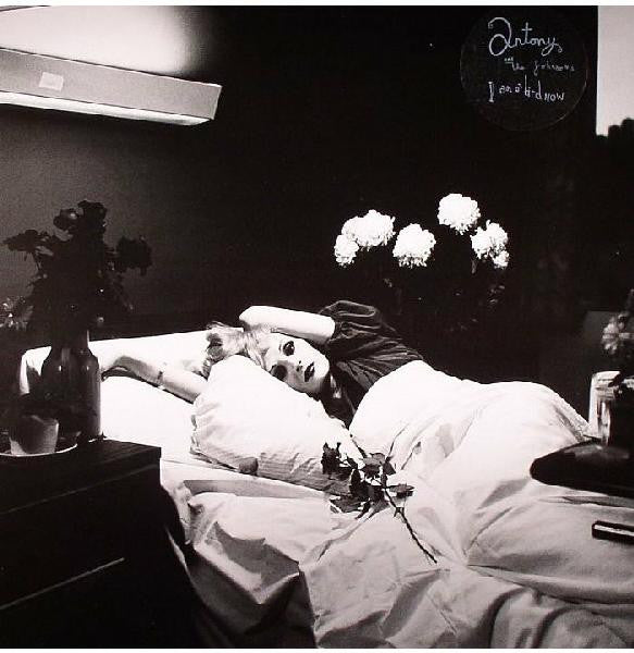 Antony & The Johnsons – I Am a Bird Now – LP