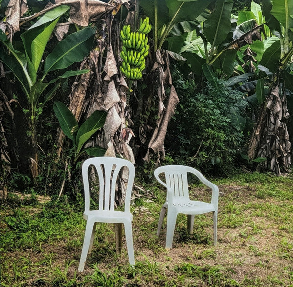 Bad Bunny – Debí Tirar Más Fotos – 2LP white vinyl