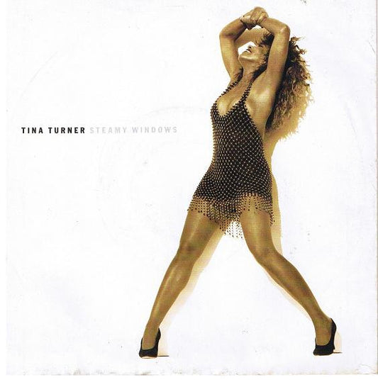Tina Turner – Steamy Windows 12"