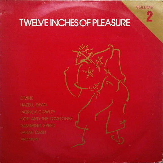 Various – Twelve Inches of Pleasure (Volume 2)