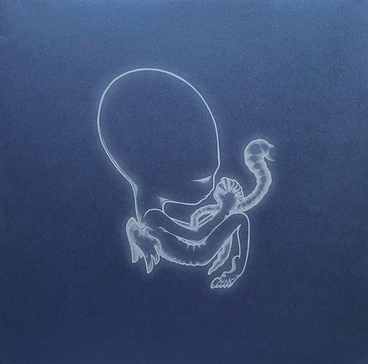 Sigur Rós  – Ágætis byrjun – 2LP