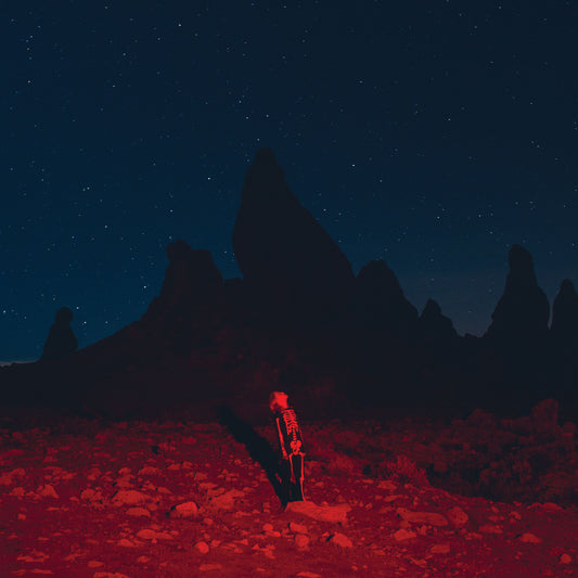 Phoebe Bridgers – Punisher – LP