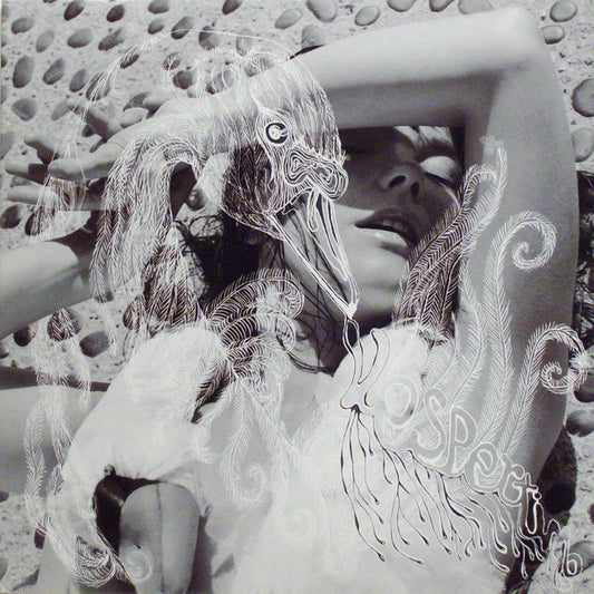 Björk – Vespertine – 2LP