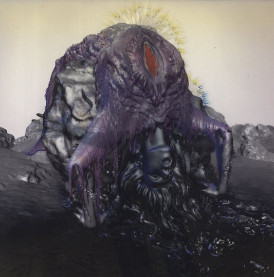 Bjork – Vulnicura (2xLP deluxe edition)